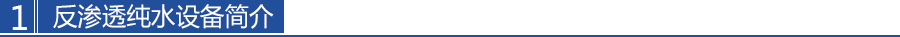 單級反滲透水處理設（shè）備 12T/H